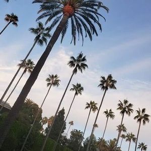 Meet your Posher, Gail